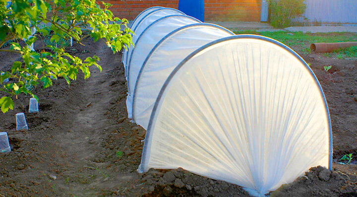 Парник 4 метра