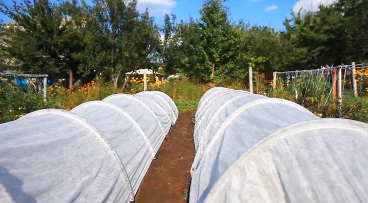 Парник 6 + 6 метров